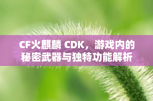 游戏内的秘密武器与独特功能解析图片