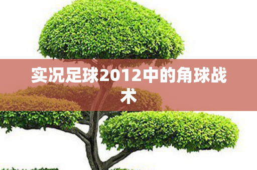 实况足球2012中的角球战术图片