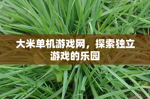 探索独立游戏的乐园图片