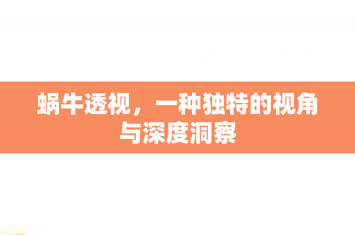 一种独特的视角与深度洞察图片