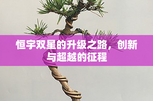 恒宇双星的升级之路图片
