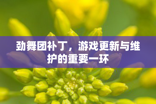 游戏更新与维护的重要一环图片