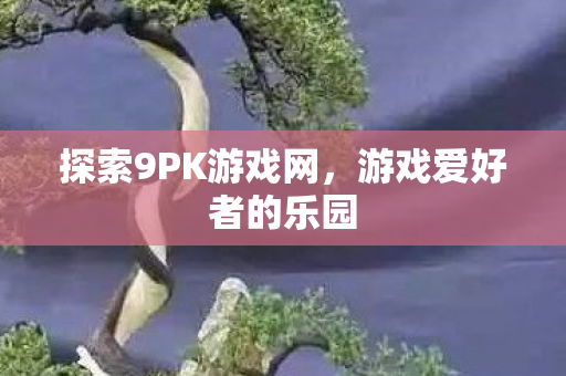 探索9PK游戏网图片
