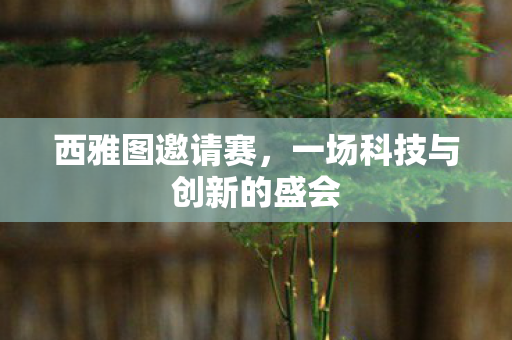 一场科技与创新的盛会图片