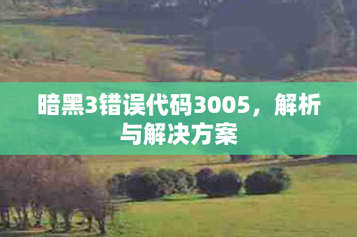 暗黑3错误代码3005图片