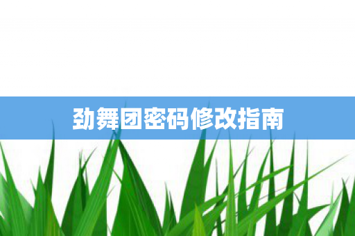 劲舞团密码修改指南图片
