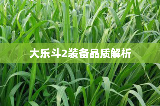 大乐斗2装备品质解析图片
