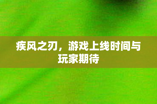 游戏上线时间与玩家期待图片