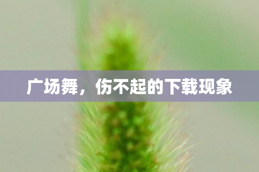 伤不起的下载现象图片
