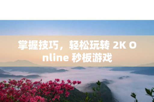 轻松玩转 2K Online 秒板游戏图片