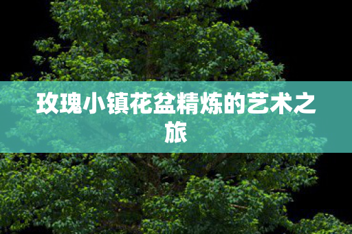 玫瑰小镇花盆精炼的艺术之旅图片