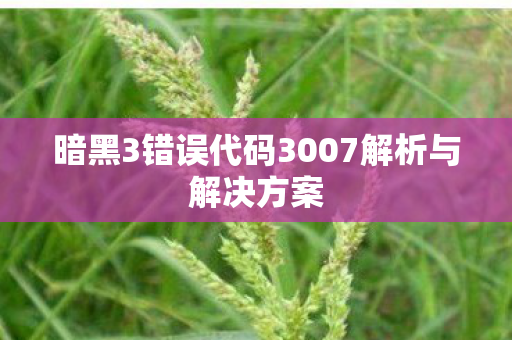 暗黑3错误代码3007解析与解决方案图片
