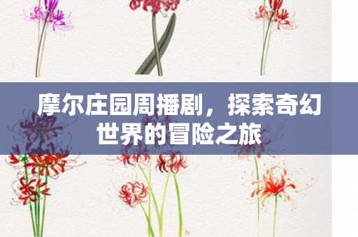 探索奇幻世界的冒险之旅图片