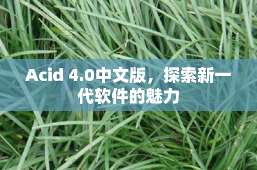 探索新一代软件的魅力图片