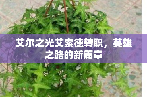 艾尔之光艾索德转职图片