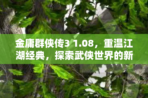 探索武侠世界的新篇章图片