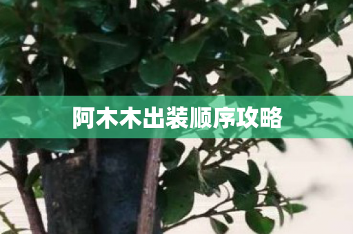 阿木木出装顺序攻略图片