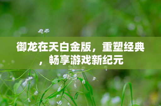御龙在天白金版图片
