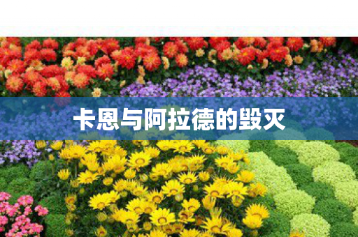 卡恩与阿拉德的毁灭图片