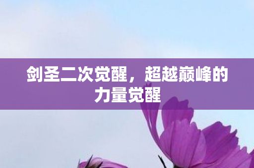 超越巅峰的力量觉醒图片