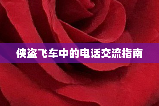 侠盗飞车中的电话交流指南图片
