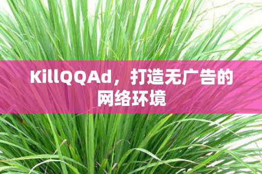 打造无广告的网络环境图片