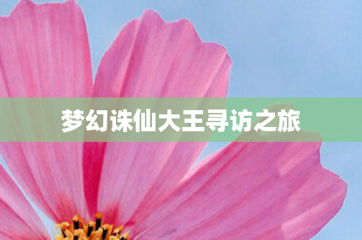 梦幻诛仙大王寻访之旅图片