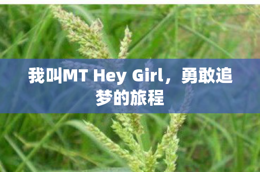 我叫MT Hey Girl图片