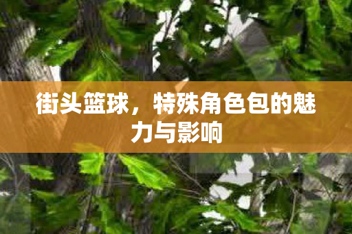 特殊角色包的魅力与影响图片