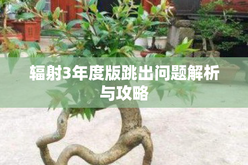 辐射3年度版跳出问题解析与攻略图片