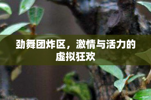 激情与活力的虚拟狂欢图片