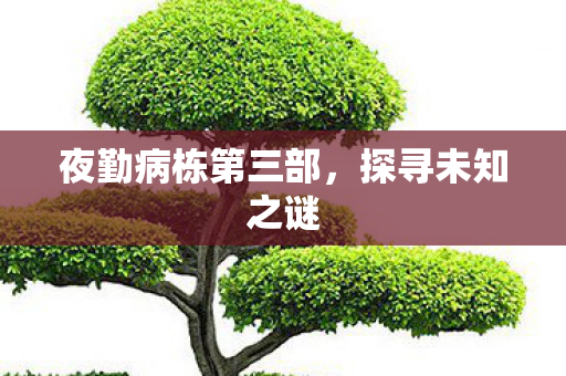 夜勤病栋第三部图片