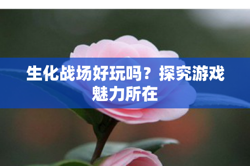 探究游戏魅力所在图片