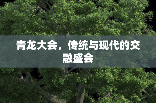传统与现代的交融盛会图片