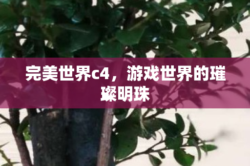游戏世界的璀璨明珠图片