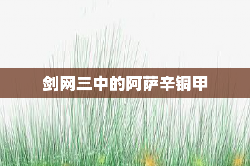剑网三中的阿萨辛铜甲图片