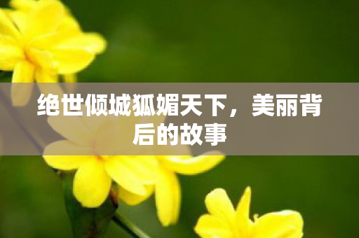 绝世倾城狐媚天下图片