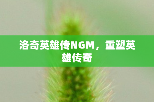洛奇英雄传NGM图片