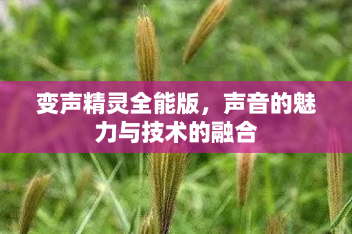 声音的魅力与技术的融合图片