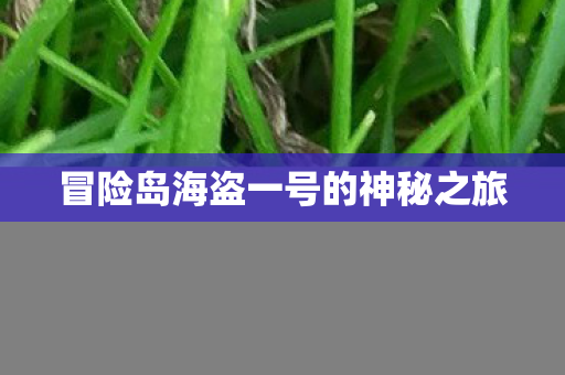 冒险岛海盗一号的神秘之旅图片
