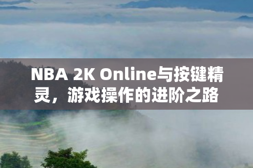 NBA 2K Online与按键精灵图片