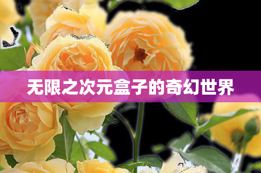 无限之次元盒子的奇幻世界图片