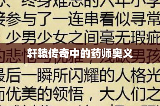 轩辕传奇中的药师奥义图片