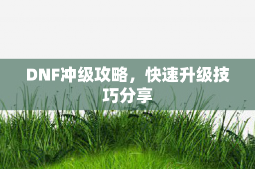 快速升级技巧分享图片