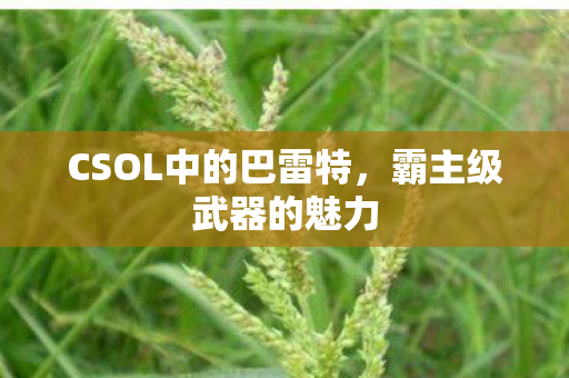 CSOL中的巴雷特图片