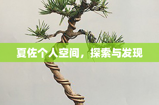 夏佐个人空间图片
