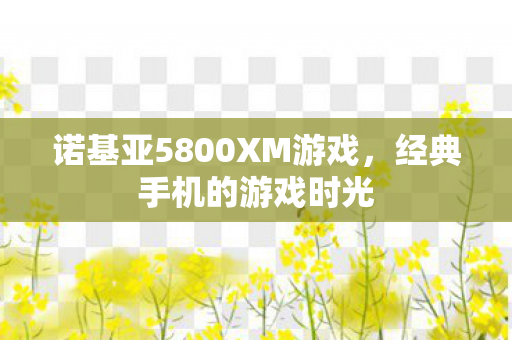 诺基亚5800XM游戏图片