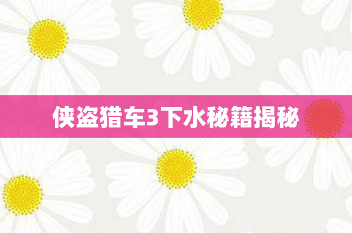 侠盗猎车3下水秘籍揭秘图片