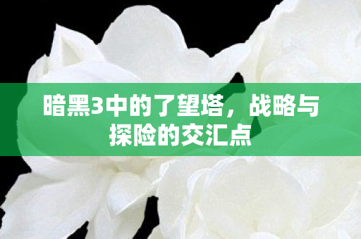 战略与探险的交汇点图片