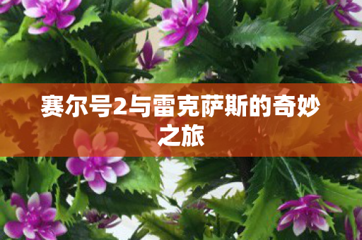 赛尔号2与雷克萨斯的奇妙之旅图片